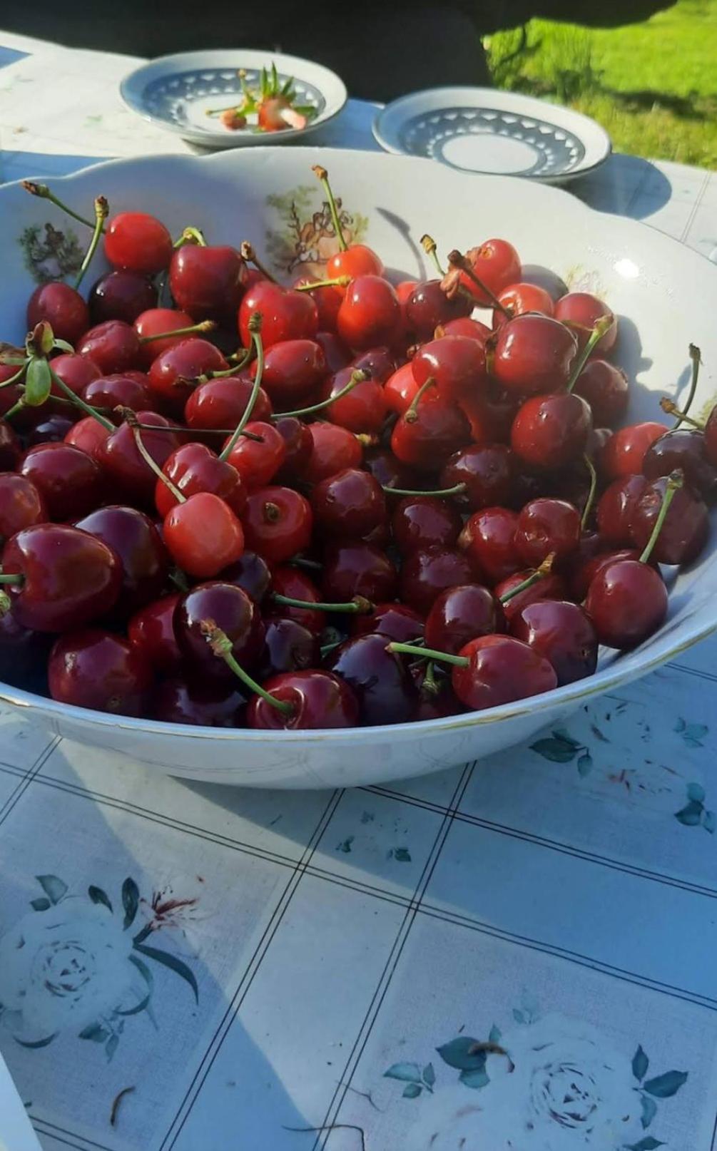 Mala Farma Nani Villa Visoko Luaran gambar