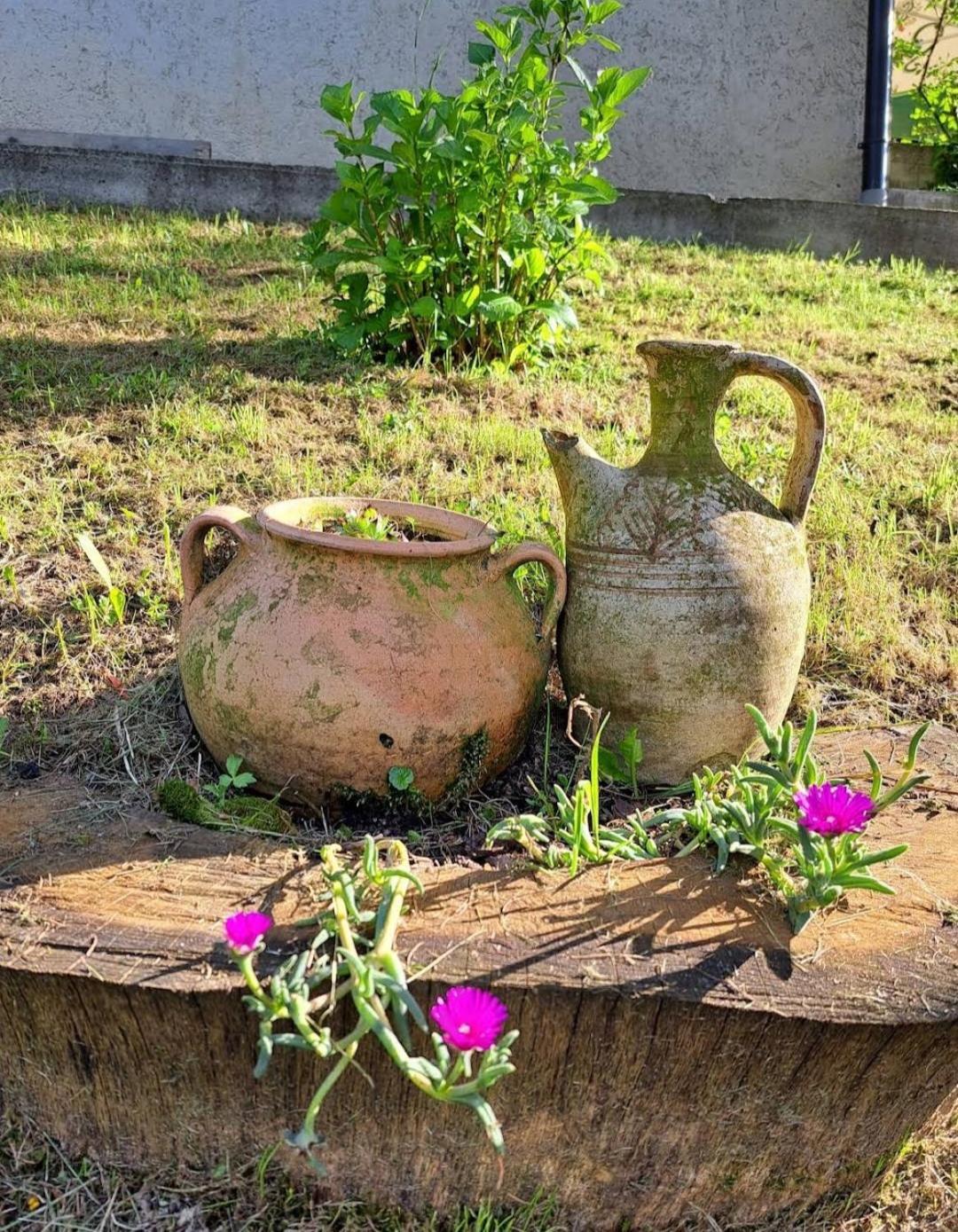 Mala Farma Nani Villa Visoko Luaran gambar