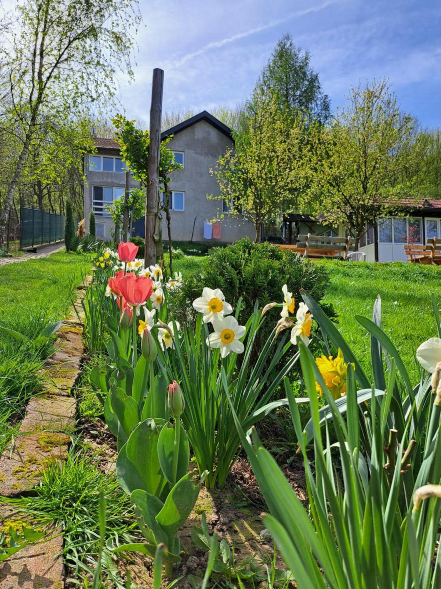 Mala Farma Nani Villa Visoko Luaran gambar