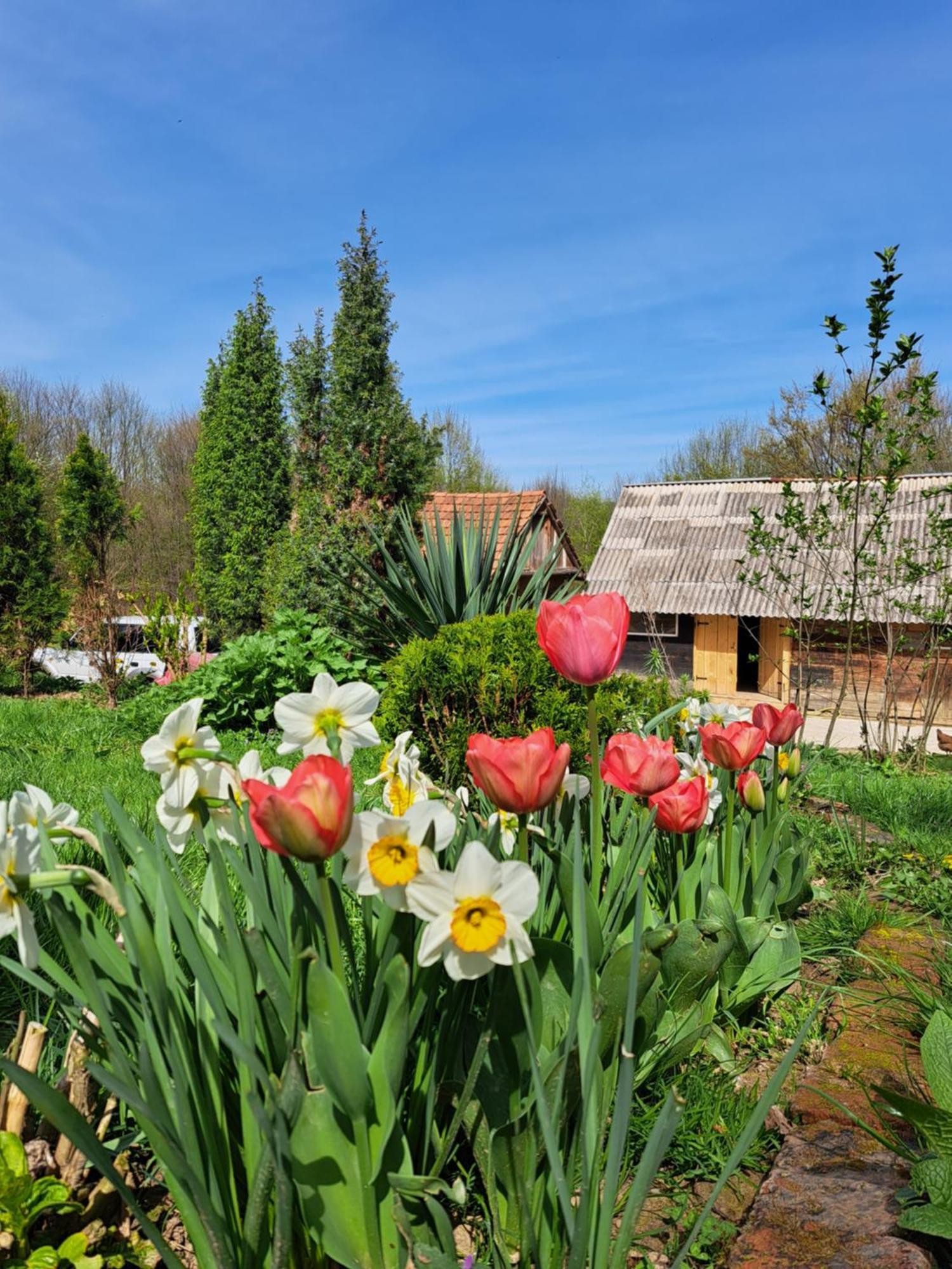 Mala Farma Nani Villa Visoko Luaran gambar